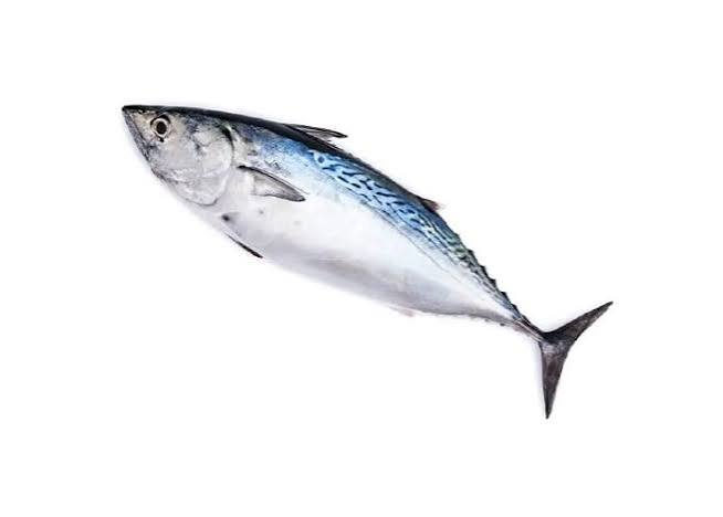 TAKOZ